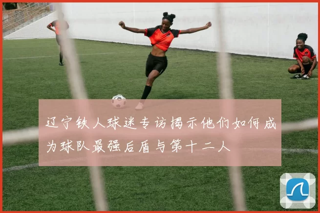 辽宁铁人球迷专访揭示他们如何成为球队最强后盾与第十二人
